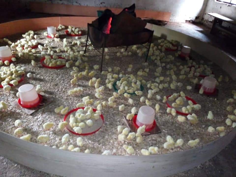 Vie Rurale Authentique